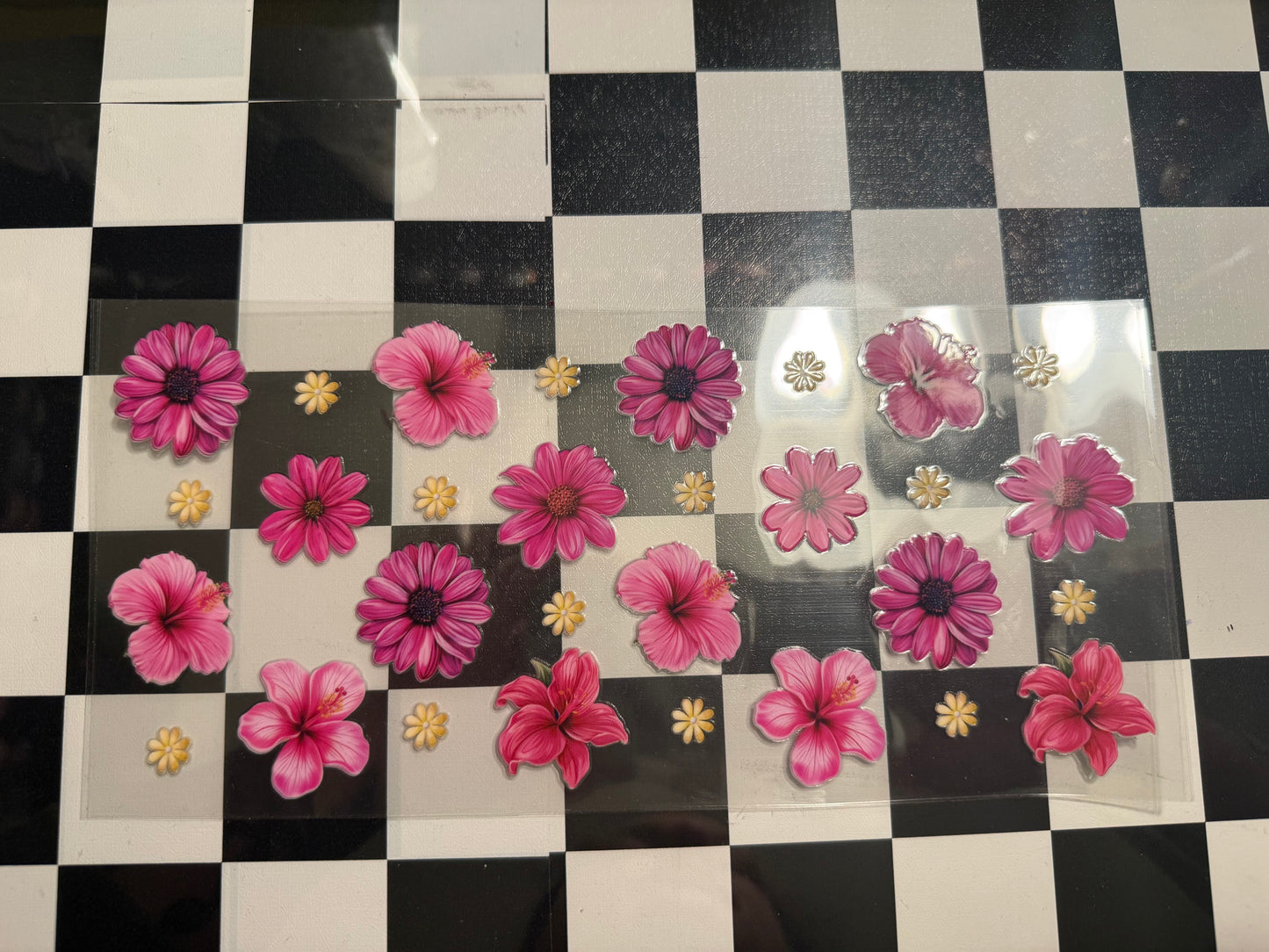 Pink Daisies