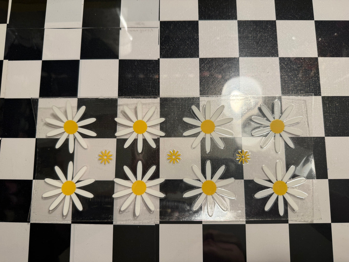 White Daisies