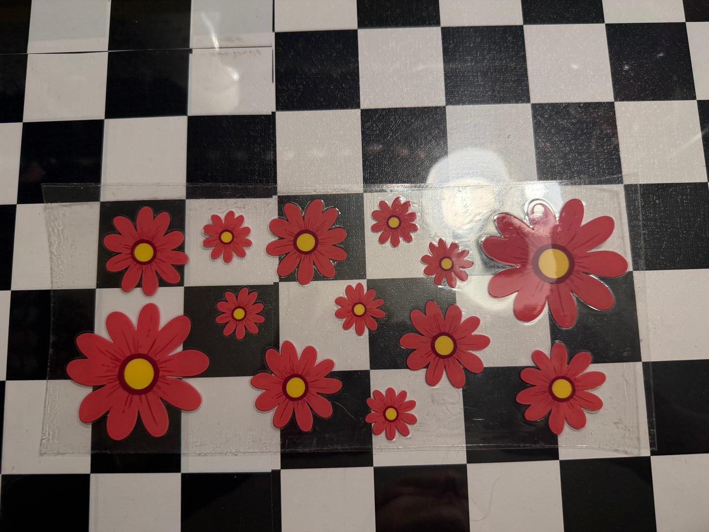 Pink Daisies