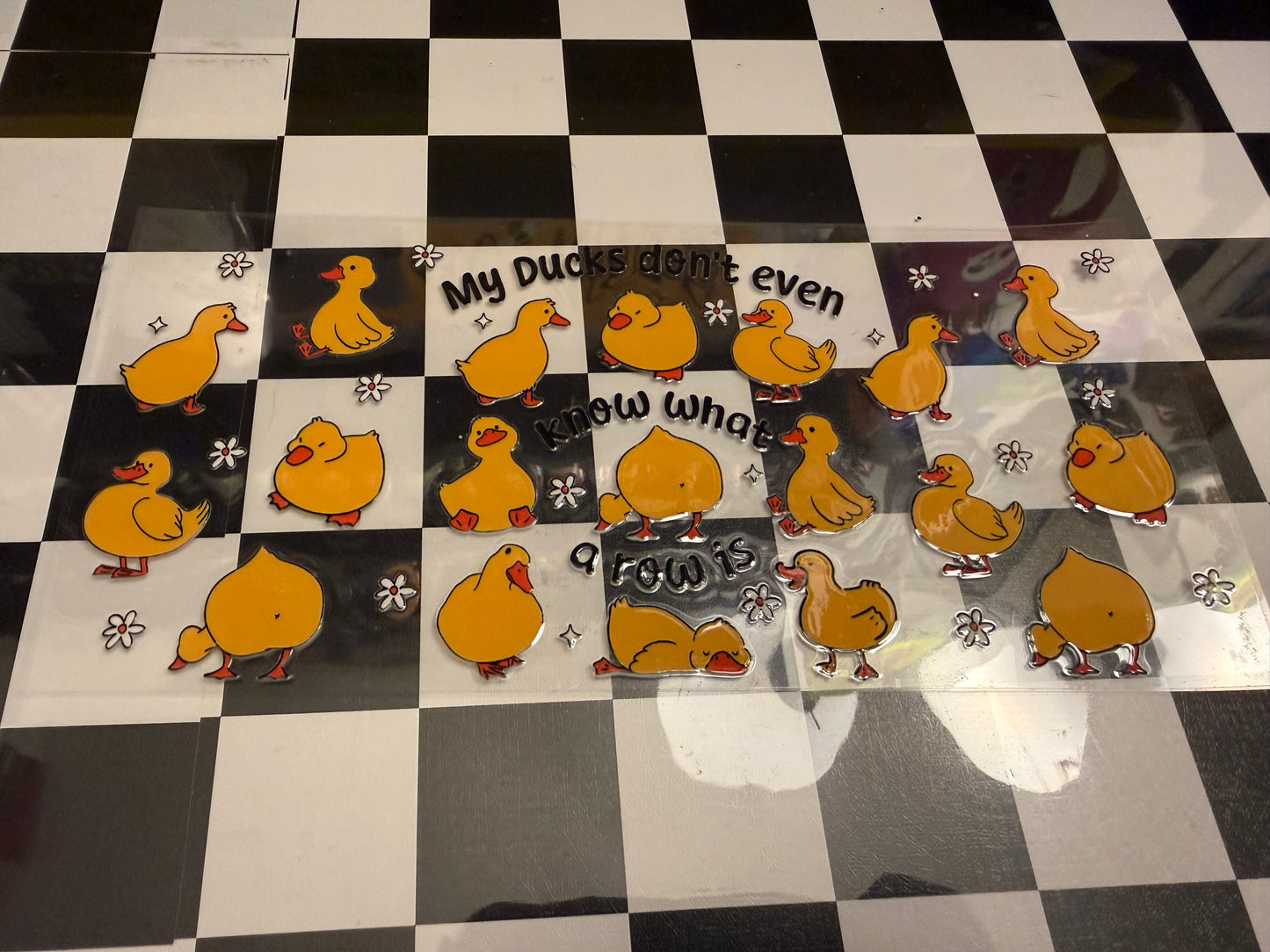 My ducks don't even know what a row is