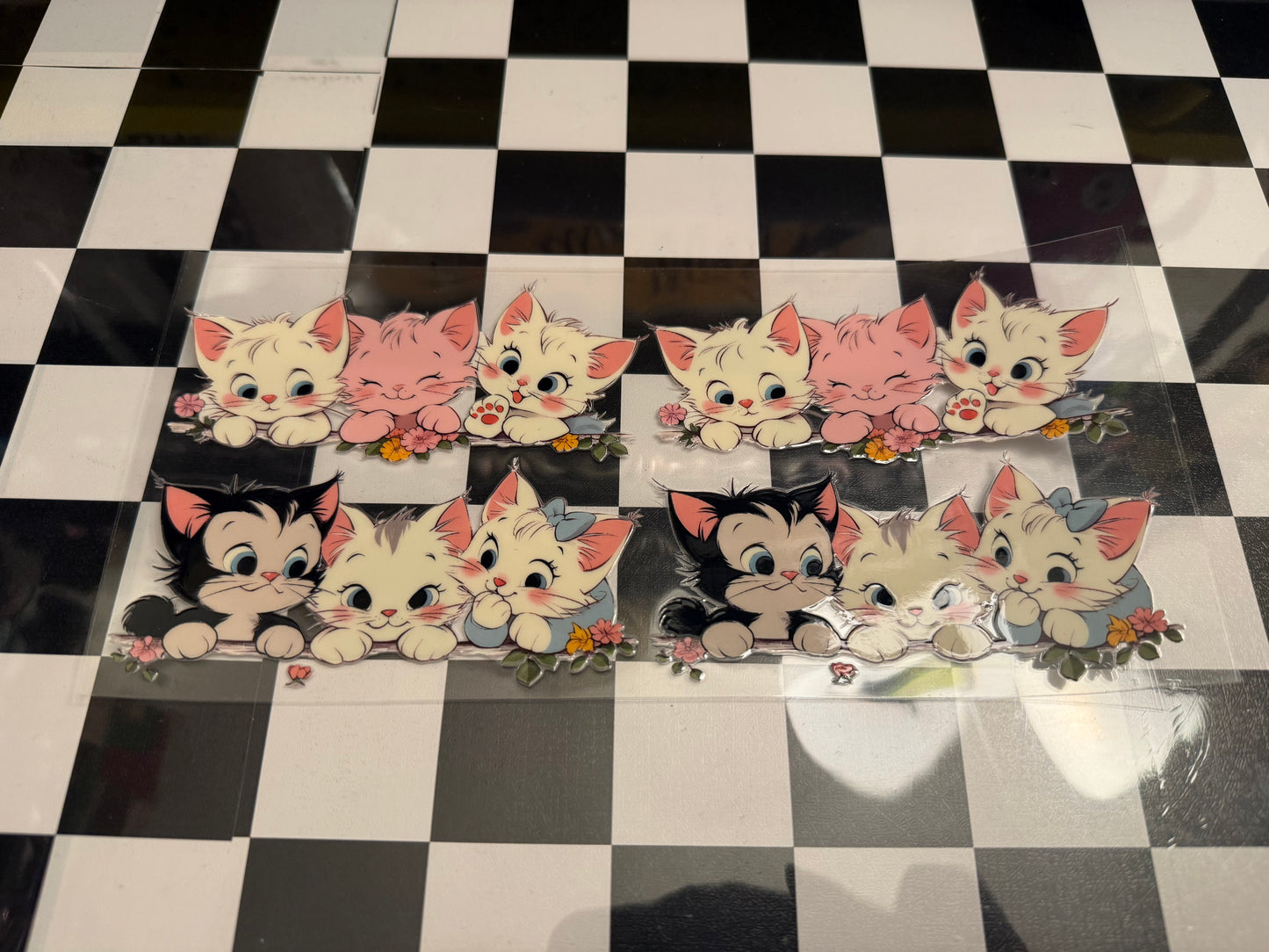 Cats