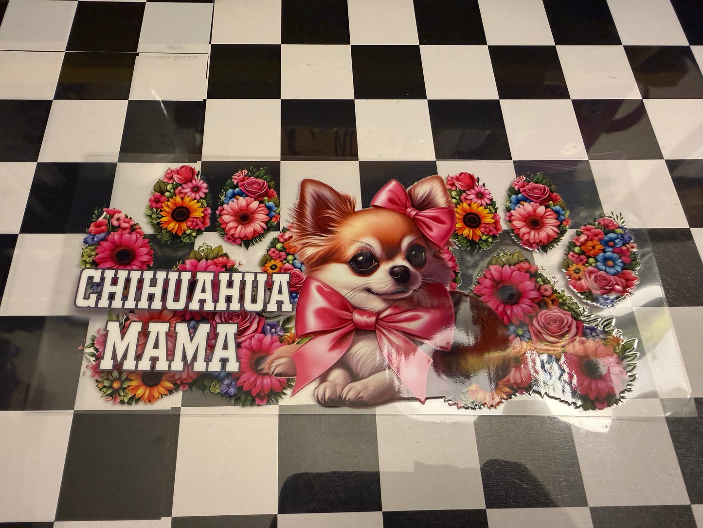 Chihuahua Mama