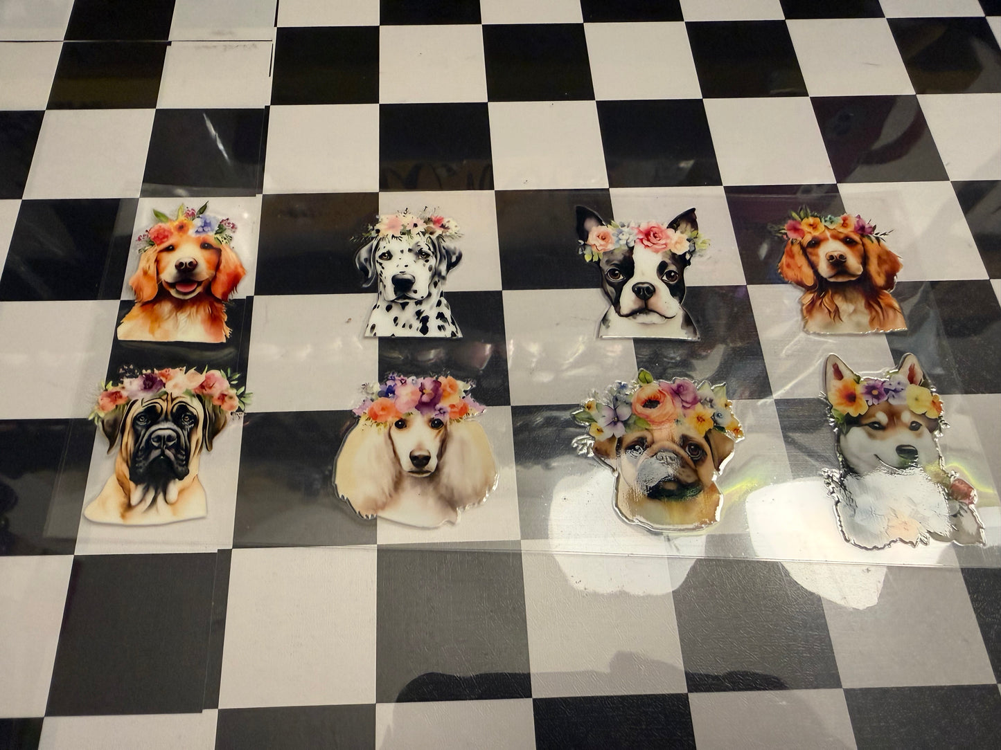 Dogs w/ Flowers