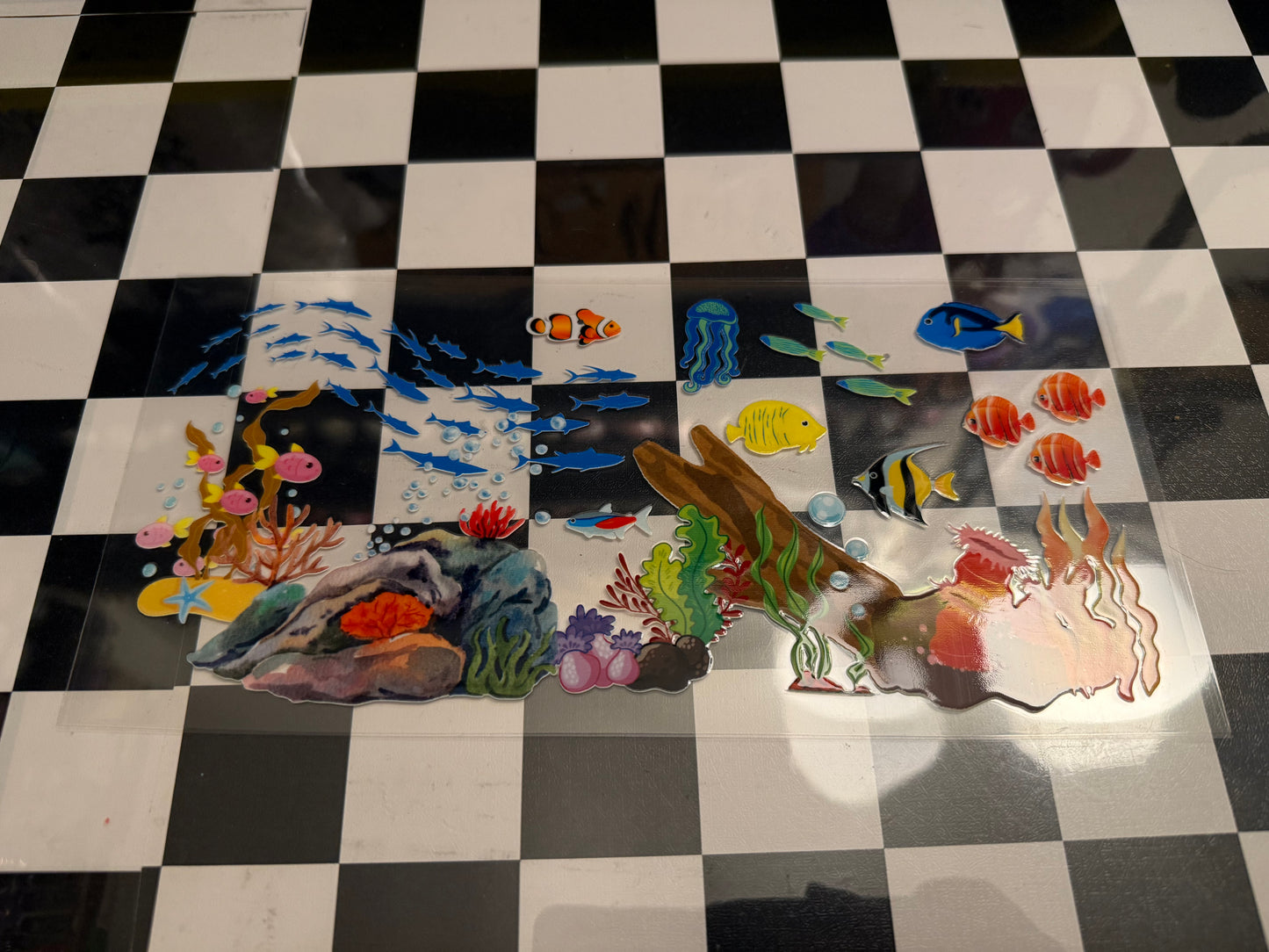 Sea Animals