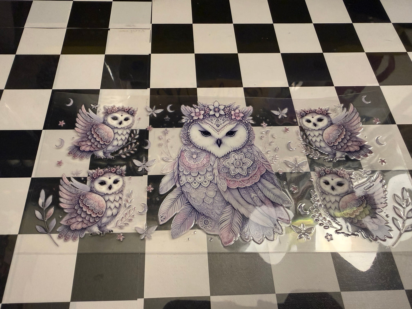 Owl
