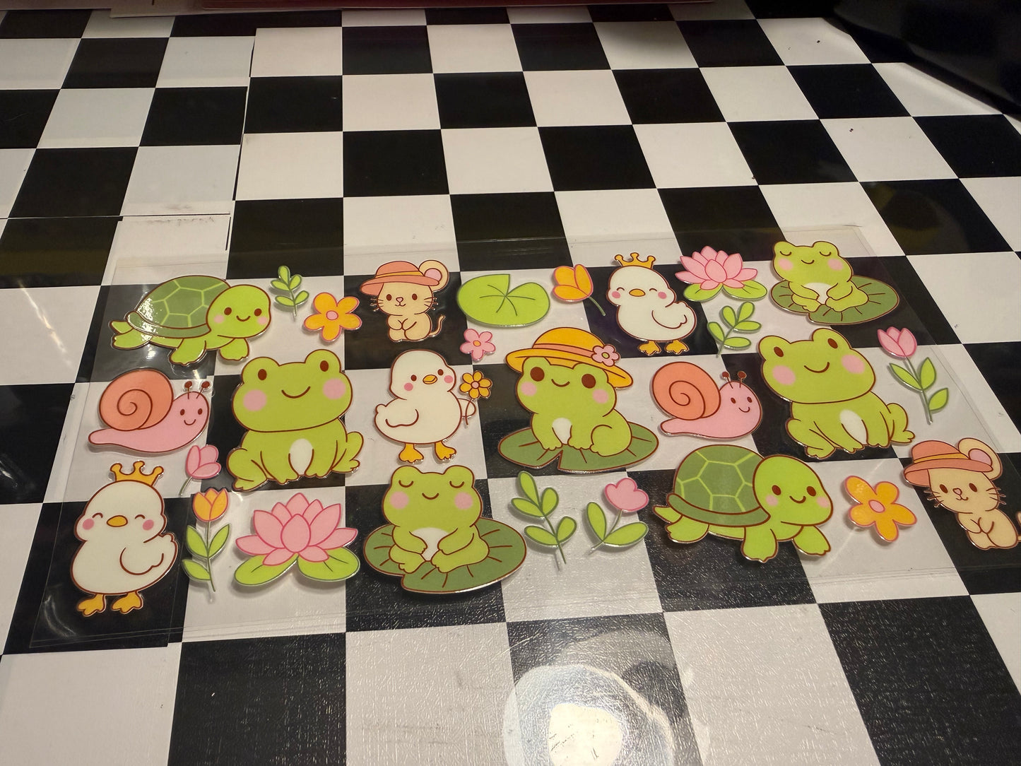 Frogs/Ducks/Turtles