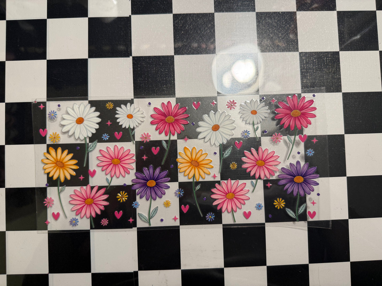 Multicolor Daisies