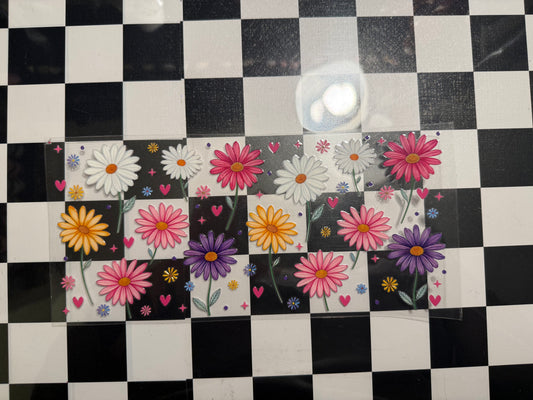 Multicolor Daisies
