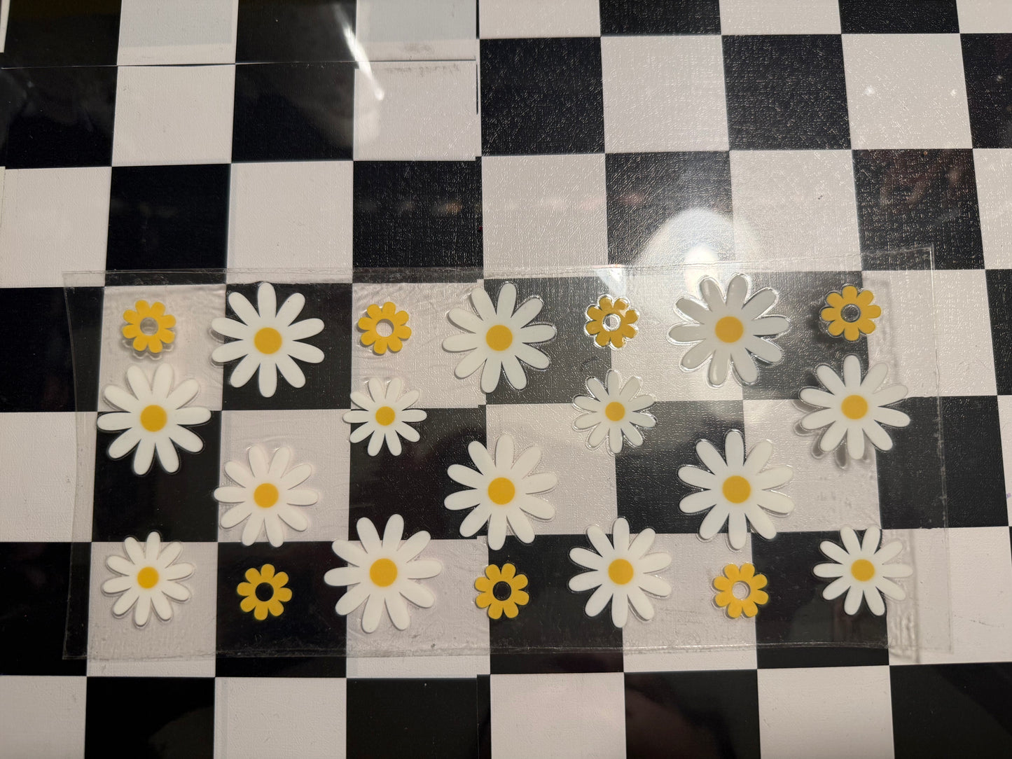 White Daisies
