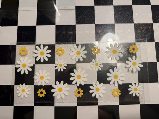 White Daisies