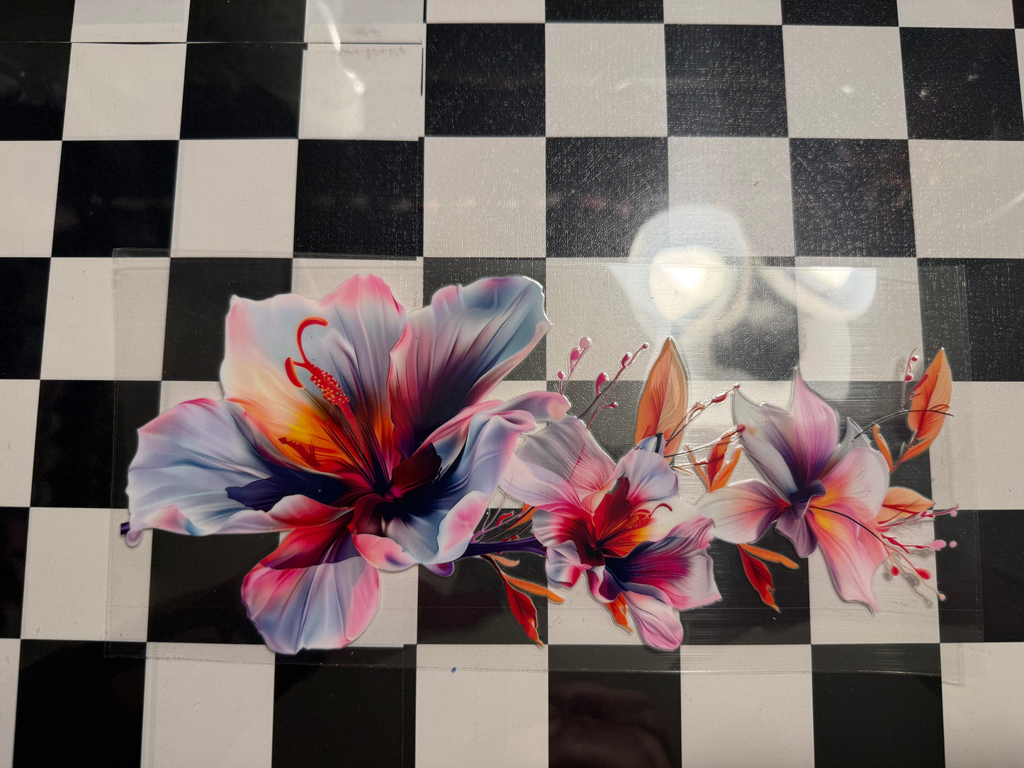 Multi Color Flowers