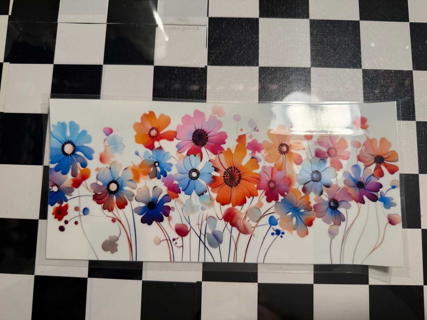 Wild Color Flowers