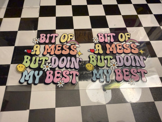 Bit of a mess but doing my best