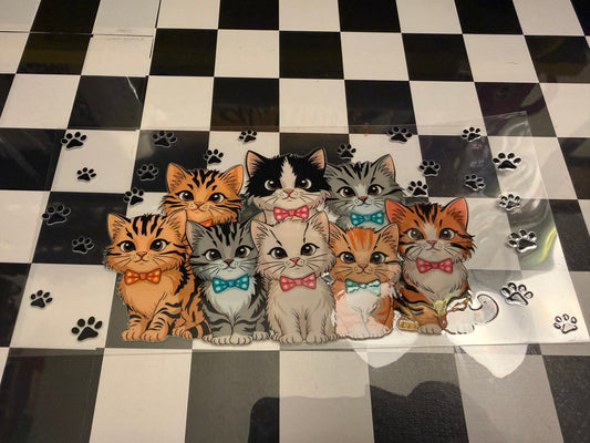 Cats
