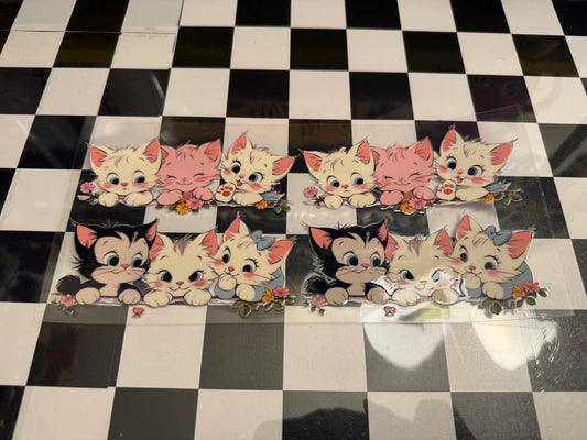 Cats