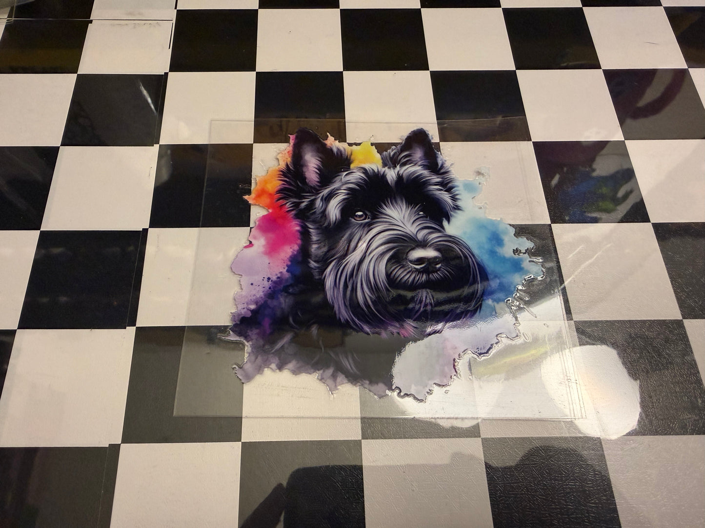 Schnauzer