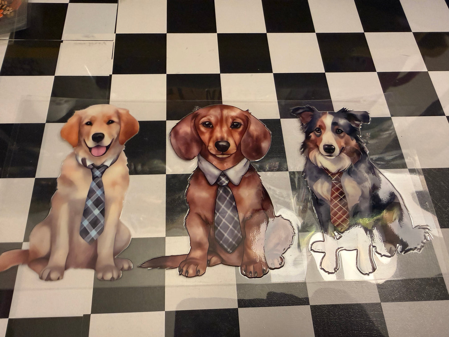 Dogs