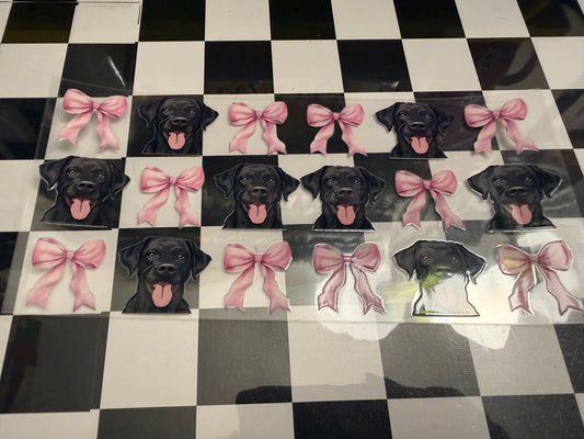 Black Labs