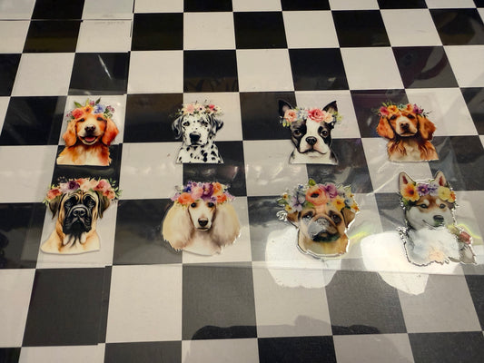 Dogs w/ Flowers