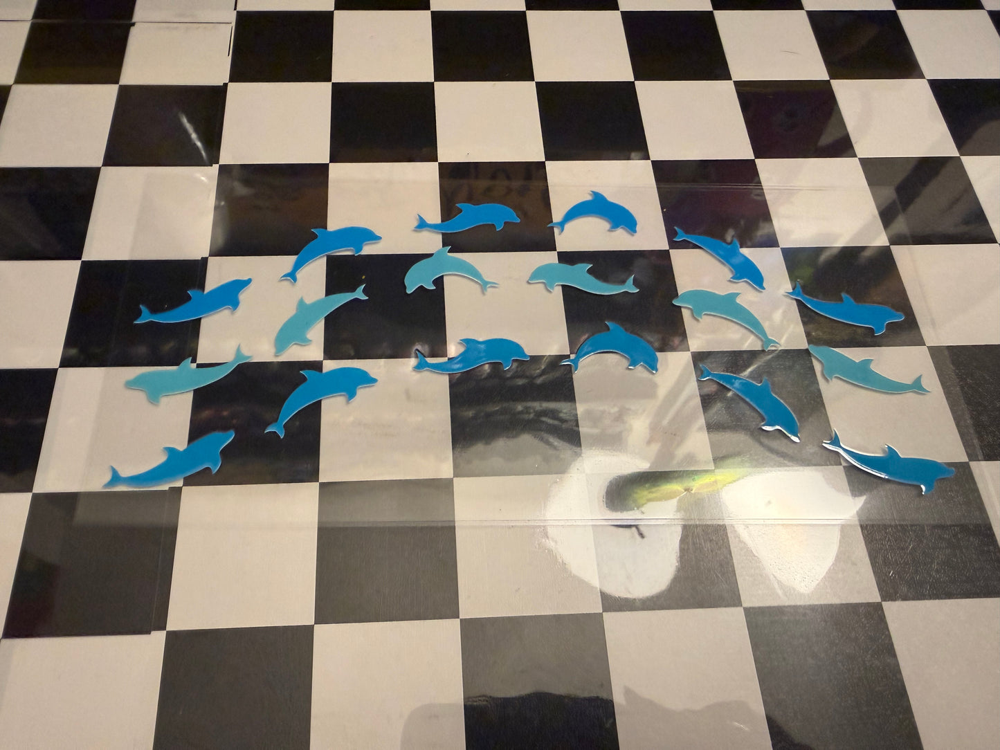 Dolphins