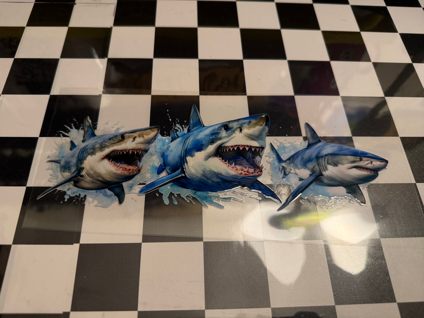 Shark