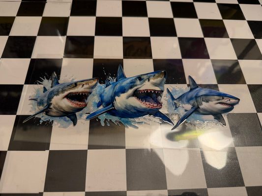 Shark