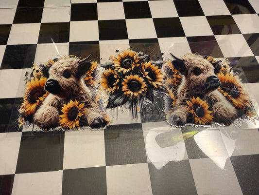 Sunflower Cows
