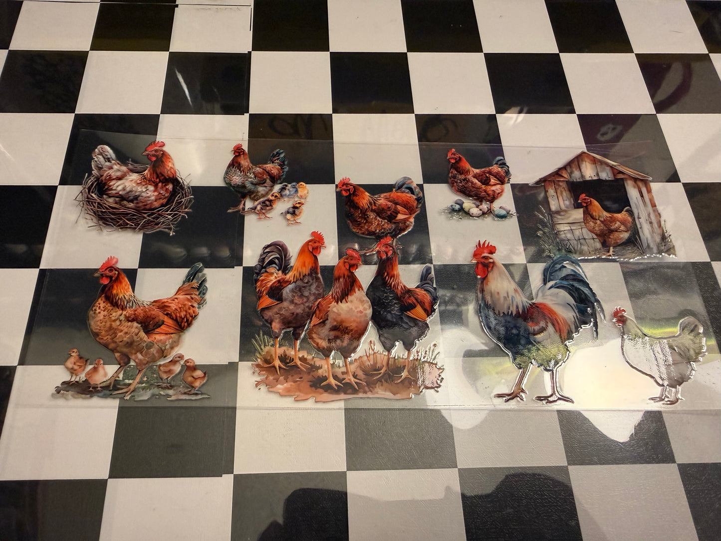 Chicken/Rooster