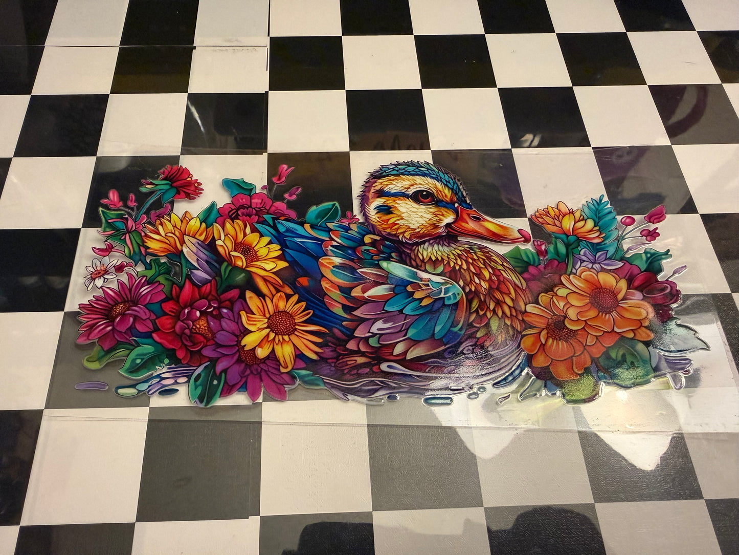 Birds