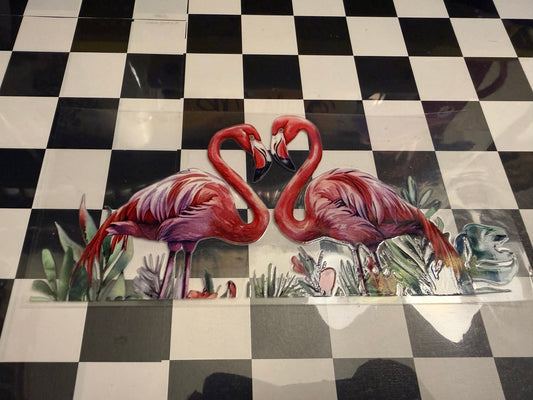 Flamingo