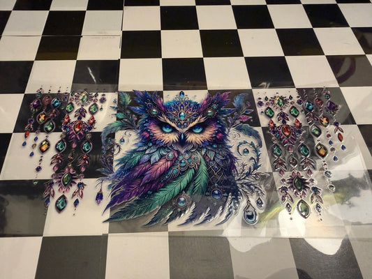 Owl