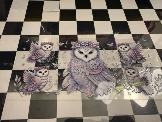 Owl