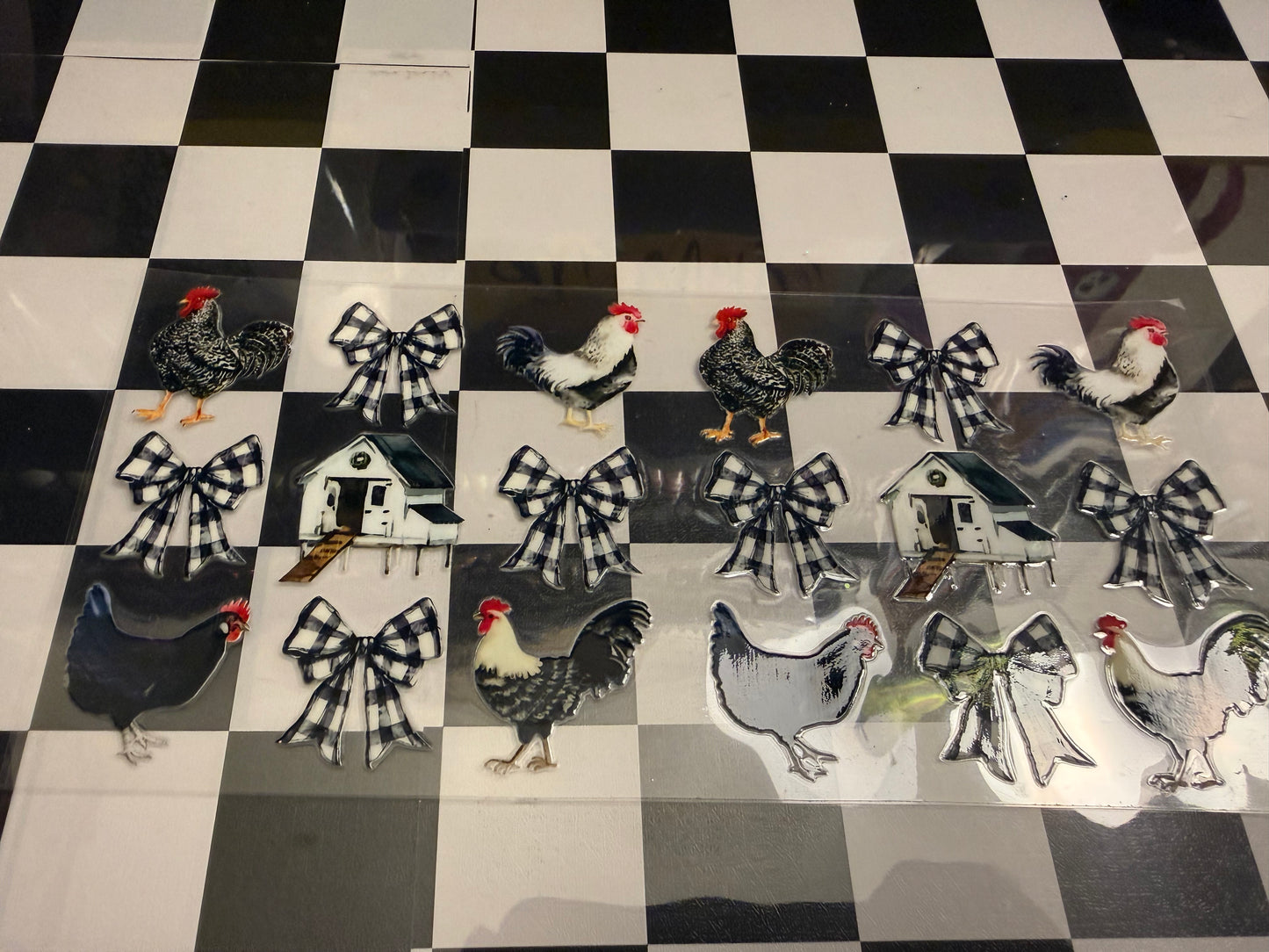 Chicken/Rooster