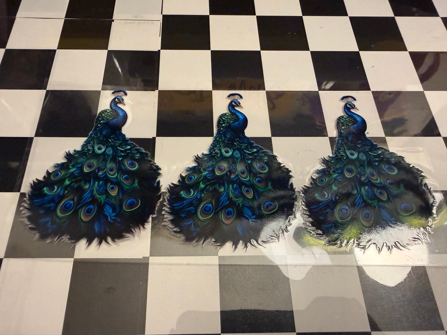 Peacock