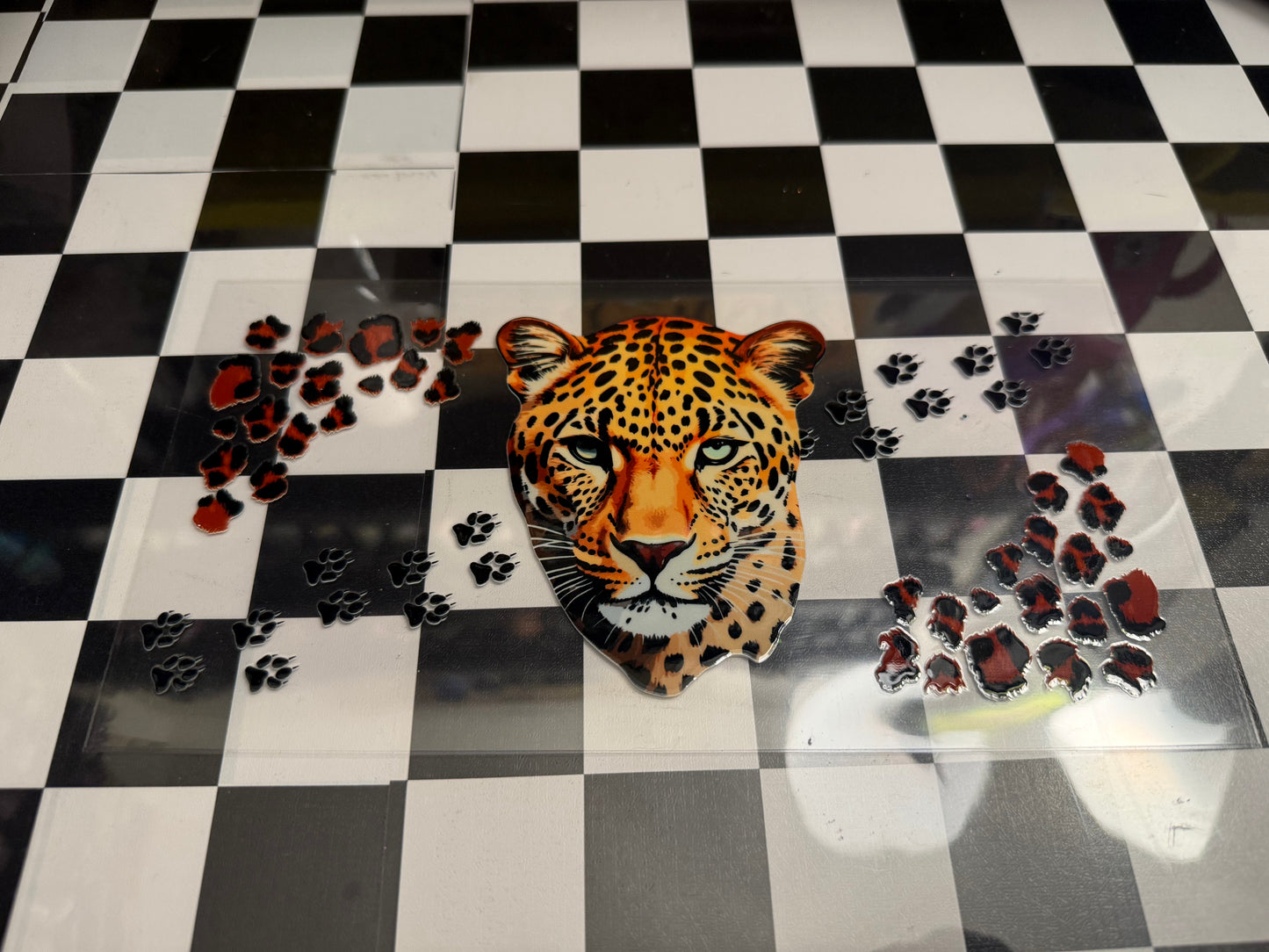 Leopard