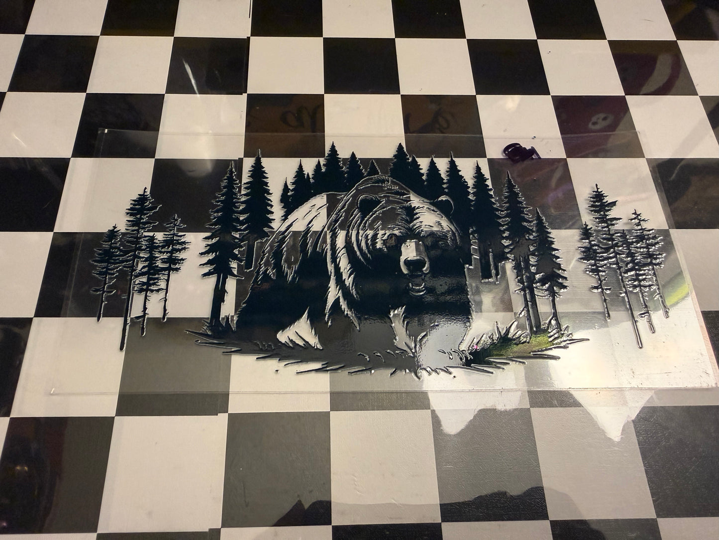 Bear