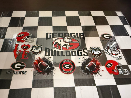 Georgia Bulldogs
