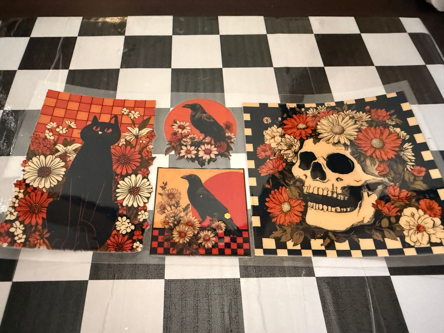 Skulls & Cats